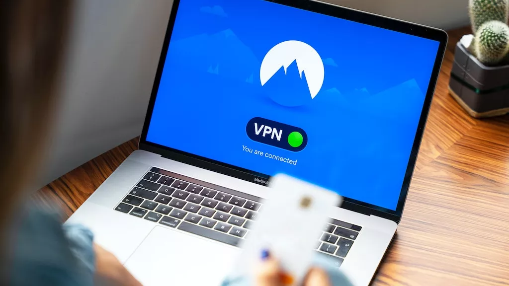 VPN Program Seçenekleri