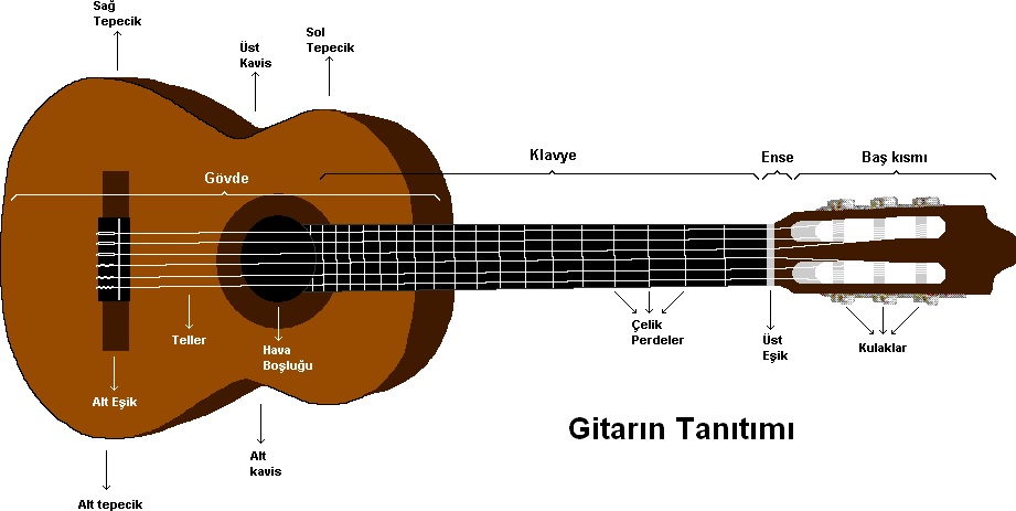 Gitar Özellikleri